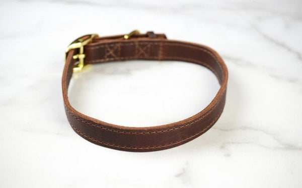 Noora Lambskin Brown Leather Dog Collar Belt With Braas Buckle, Pets Collar Belt YK0220 - Noora International